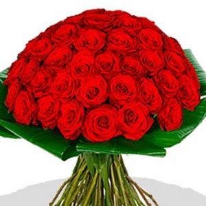 Meet your Posher, Luke